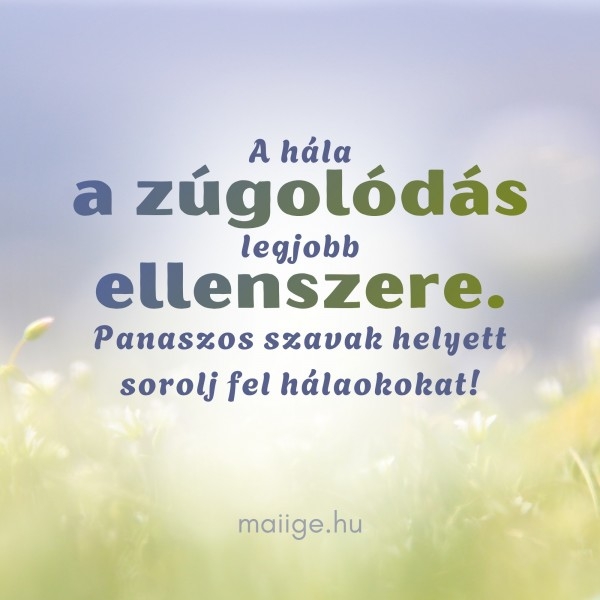 Igefolyam #8224
